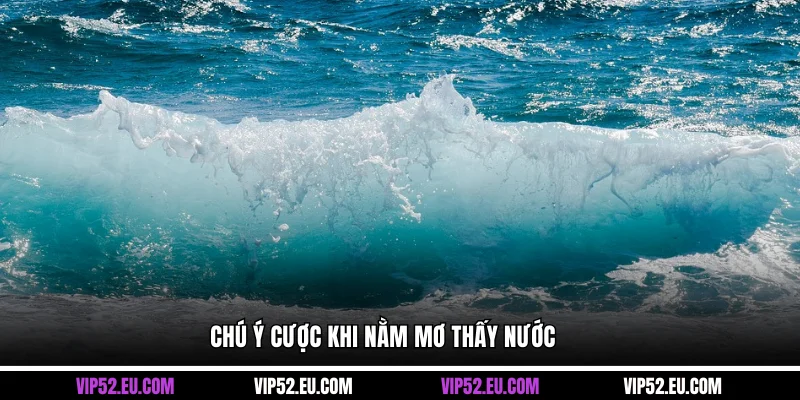 Chú ý cược khi nằm mơ thấy nước