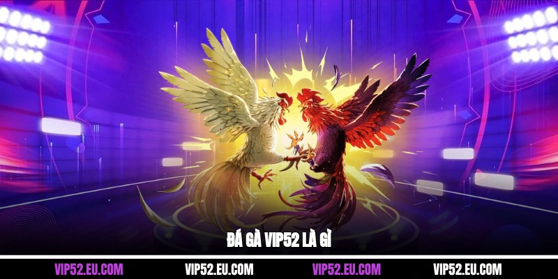 Đá gà Vip52 là gì?