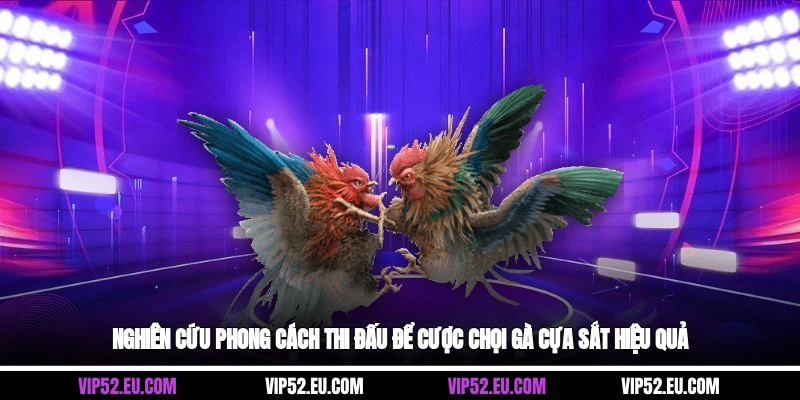 Nghiên cứu phong cách thi đấu để cược chọi gà cựa sắt hiệu quả
