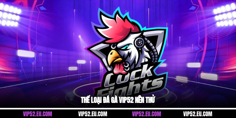 Thể loại đá gà Vip52 nên thử