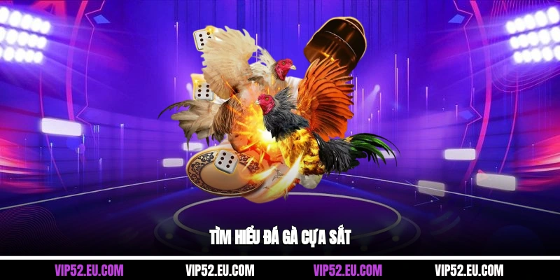 Tìm hiểu đá gà cựa sắt